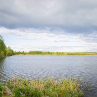 Прогулки ветра :: Каролина Савельева