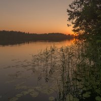 Уходящий июль :: Александр Попков