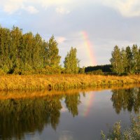 После дождя :: Валерия Ситникова