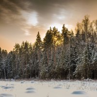 Зимние сумерки. :: Владимир Лазарев