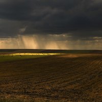 В полях под зноем и дождём :: Сергей Жуков