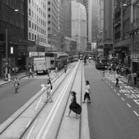 Hong Kong street view :: Sofia Rakitskaia
