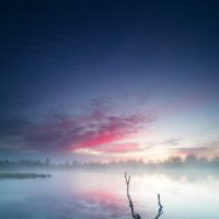 Утро у озера в тундре :: Александр Матвеев 