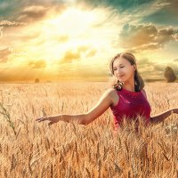 Пшеничное поле :: Ирина Демидова