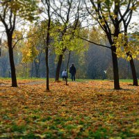 сезон охоты :: Moscow.Salnikov Сальников Сергей Георгиевич