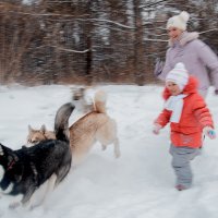 ... :: Светлана Каритун