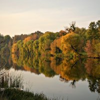 Осень красой отразилась в реке... :: Валентина Данилова