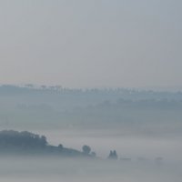 Туманное утро в Италии :: Олег Гаврилов
