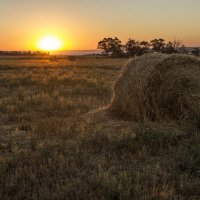 Раннее утро. :: Владимир Стаценко