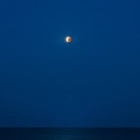 Лунное затмение :: Ася Легконогова 