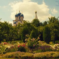 Парк "Коломенское". Лето 2018 года. :: OLGA Vasilyeva