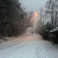 Вечерний снегопад :: Мария Андрейчук