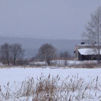 Зимние каникулы :: Эльвира Багина