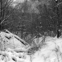 Снег второй половины зимы :: Владимир Дземитко