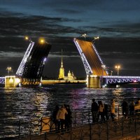 Разведение Дворцового моста :: Елена Гуляева (mashagulena)