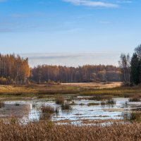 Осень. :: Владимир Безбородов