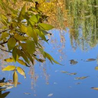 Там тонет в озере, собой любуясь, осень... :: Татьяна Смоляниченко