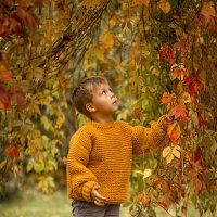 мальчик с осенними листьями :: Елена Корж