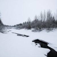 Пасмурный денёк :: Роман Грушевский