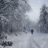 В городском саду... :: Владимир Чикота 