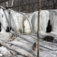 Замёрзший водопад "Девичьи слёзы". :: Татьяна Иваненкова