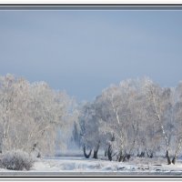 звенящая тишина :: Николай Иванович Щенов