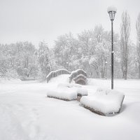 а унас снег... :: Moscow.Salnikov Сальников Сергей Георгиевич