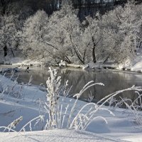 На реке Истре :: Анна Скляренко