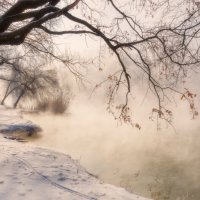 Осенние зимние листья :: Александр Плеханов