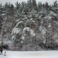 Долгожданный снег :: Светлана Григорьева