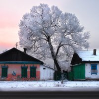 Зимнее утро. :: Сергей Изотов