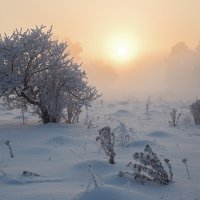 Закат в тумане! :: АНАТОЛИЙ ВАСИЛЬЕВ 