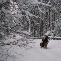 Зима, крестьянин торжествуя... :: Анна Углова (Рыбакова)