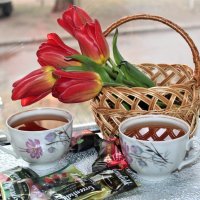 Чай с тюльпанами :: Ольга Митрофанова