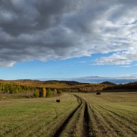 Осенние дали :: Марина Новожилова