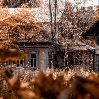 домик в осеннем лесу :: Олеся Семенова