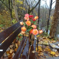 Осенние розы :: Татьяна Сапрыкина 