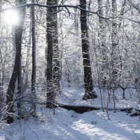 Замок снежной Королевы :: Дмитрий Дивный 