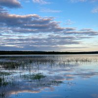 Пейзаж :: Юлия Бабаева