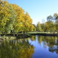 Осень в озере купалась :: Нина Синица