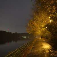 Осень Строгинская, осень туманная :: Алла Яшникова