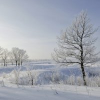 Зима на Лунском озере... :: Фёдор Куракин