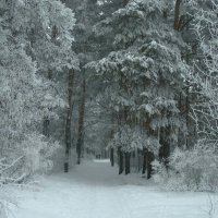 После снегопада :: Павел 