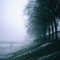 Туманное утро :: Анастасия Трофимова