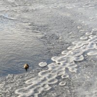 Между зимой и весной :: Наталья Герасимова