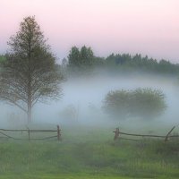 Летний туман :: Вадим Ефимчик