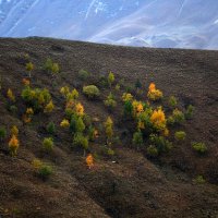 осень в горах .. :: Хаджимурад Саидов