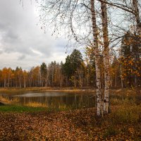 Осеннее озеро :: Валерий 