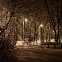 зимняя ночь :: Любовь Перевозникова
