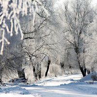 Декабрь :: Людмила Павловна Крышковец